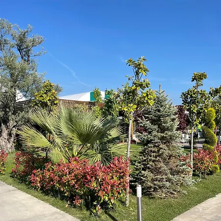Campsite Camping Restorant Deivi Lezhe